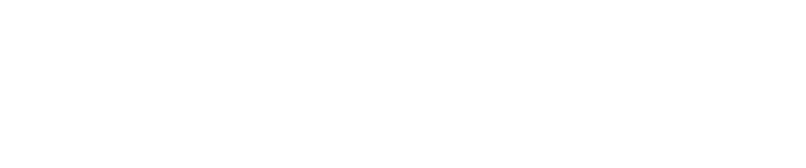 logo partner