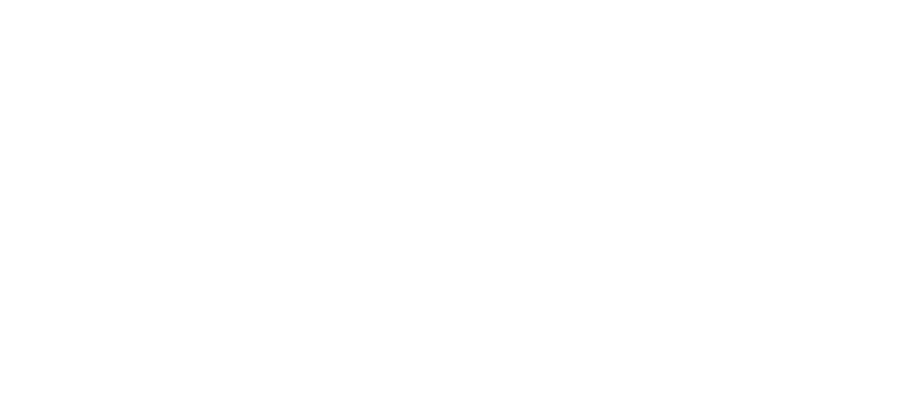 logo partner