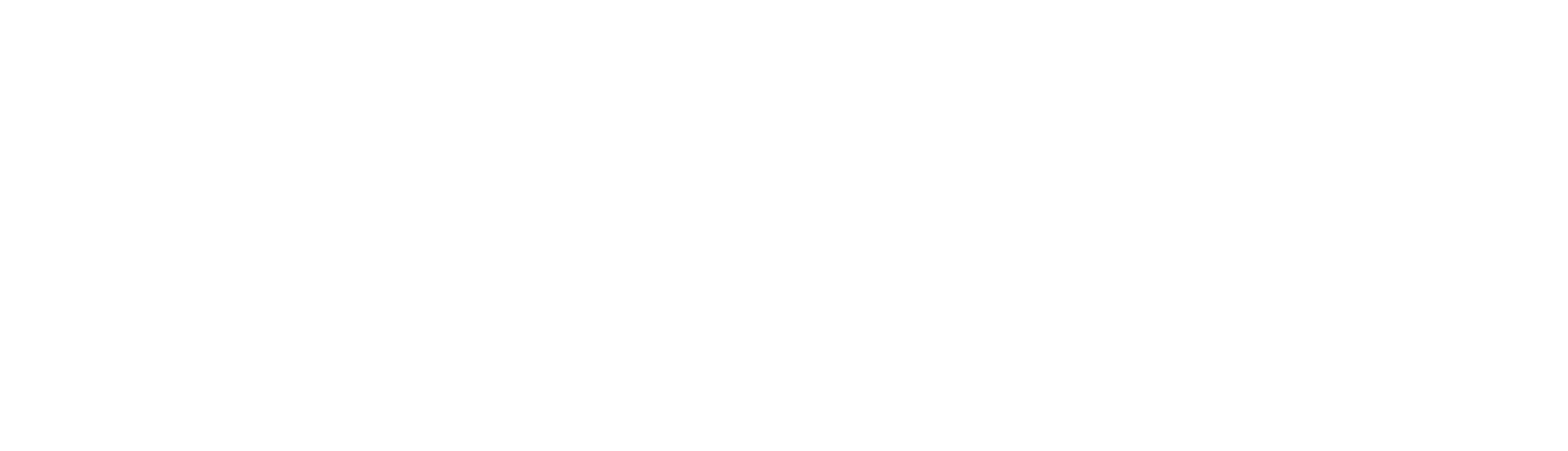 logo partner