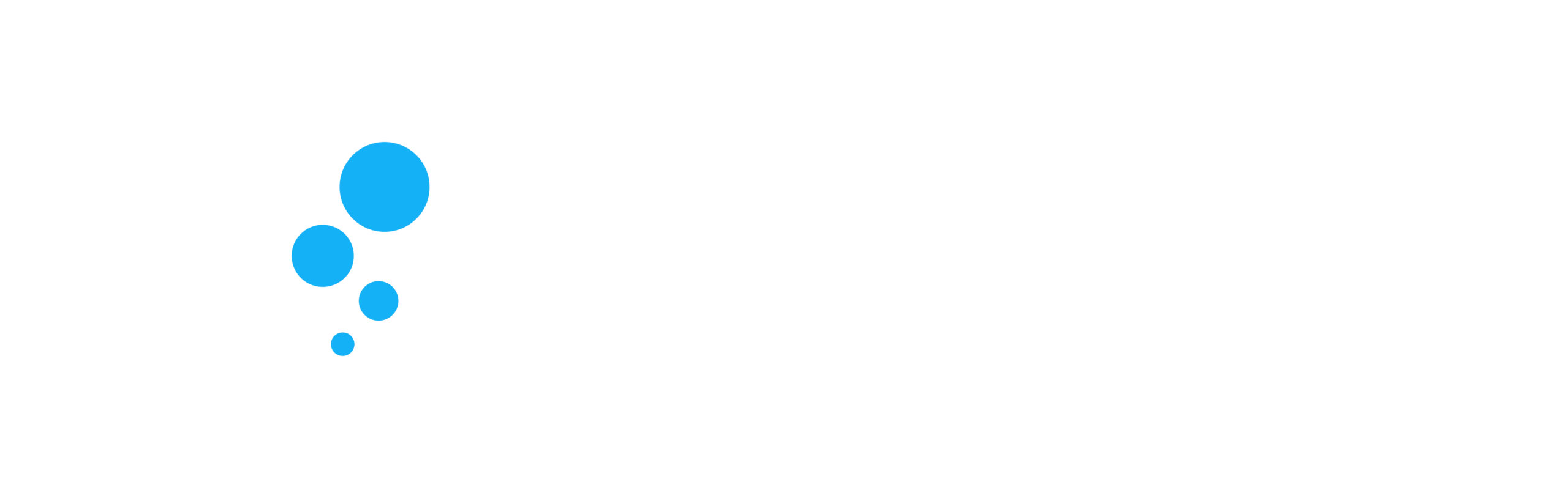 logo partner