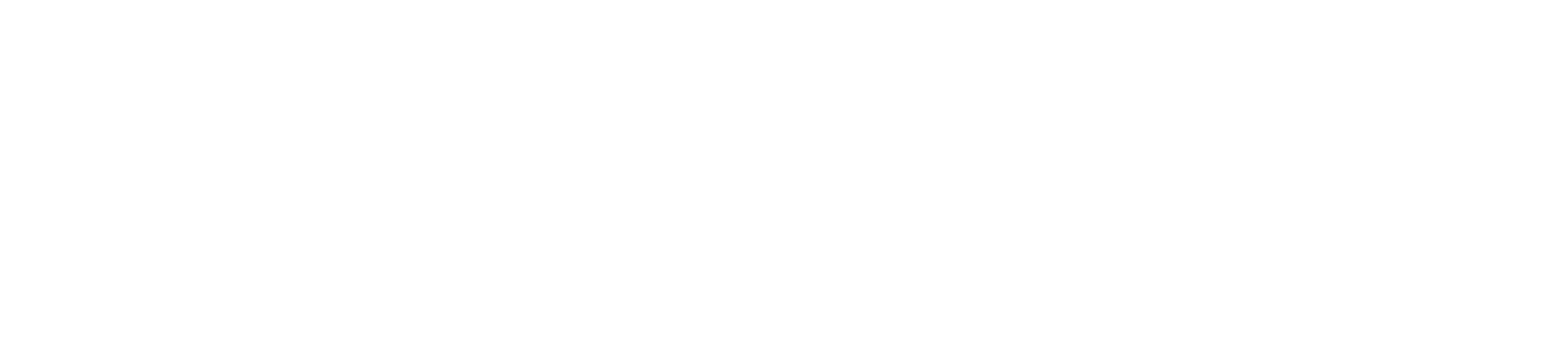 logo partner
