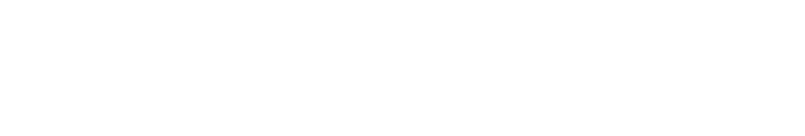 logo partner