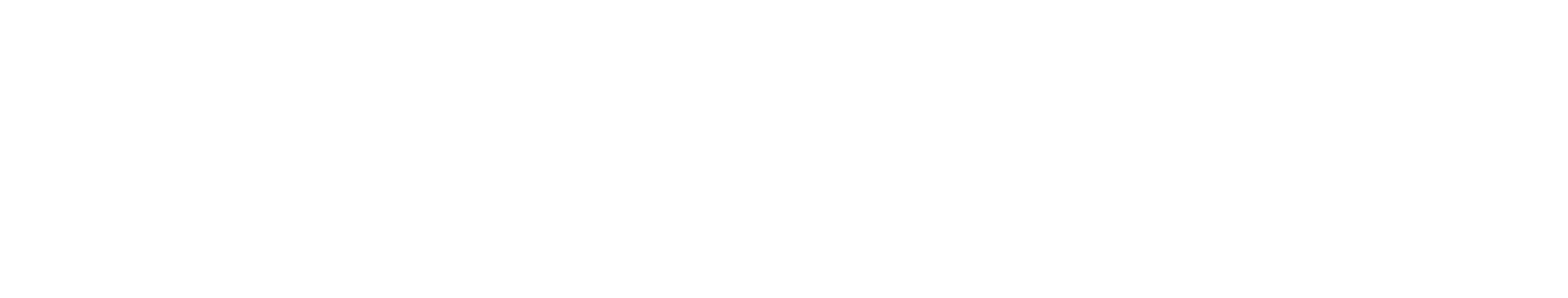 logo partner