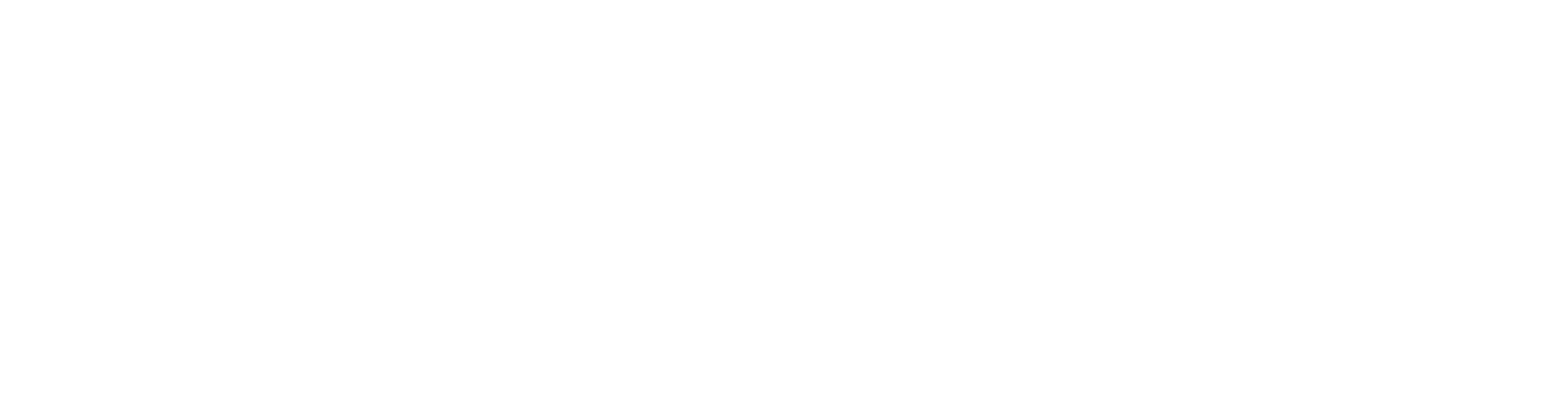 logo partner