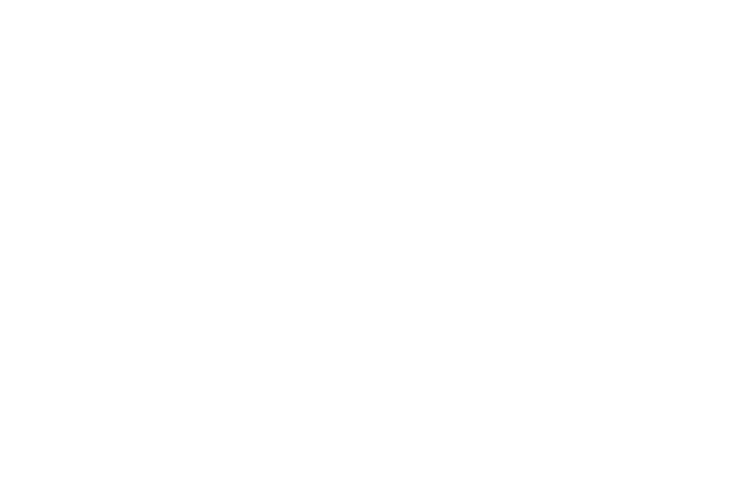 logo partner