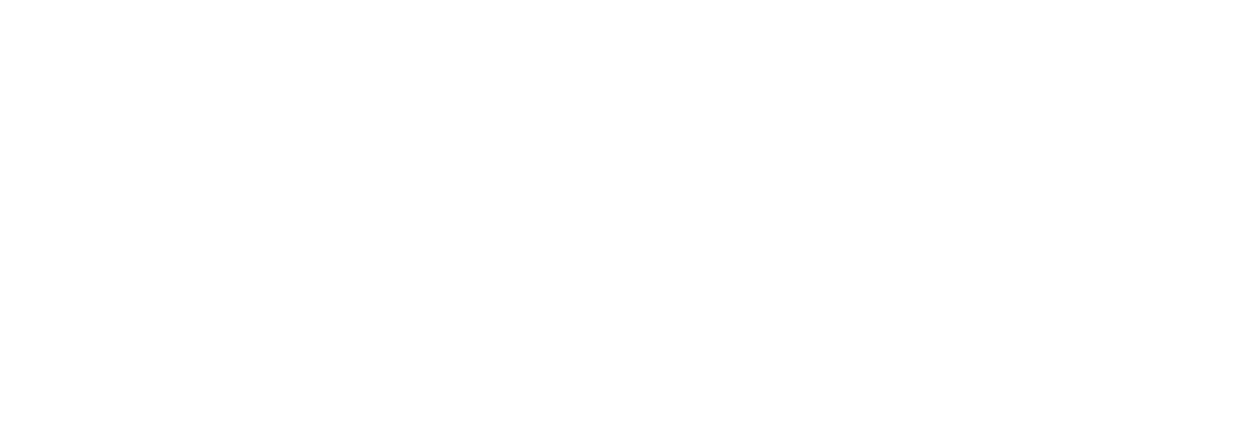 logo partner