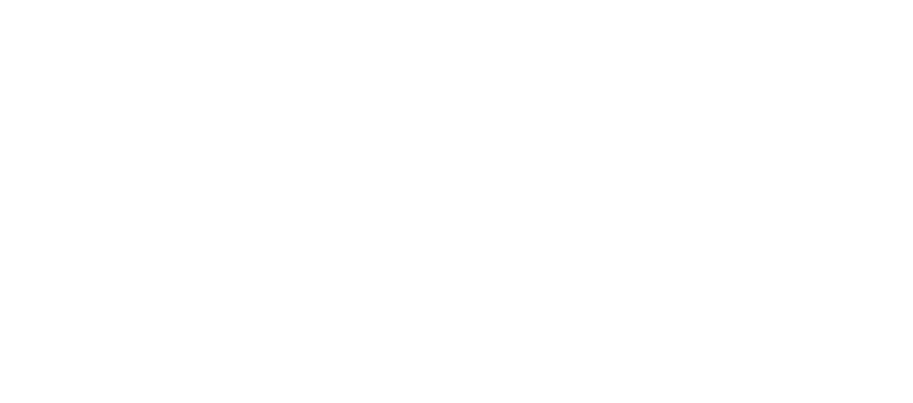 logo partner