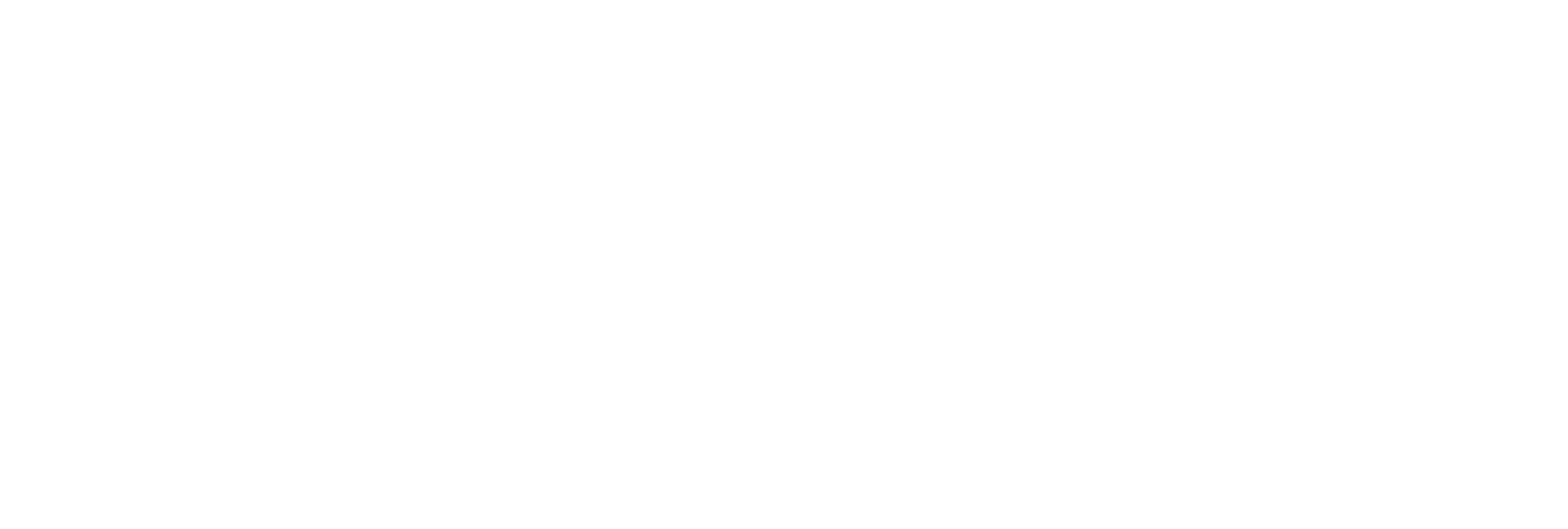 logo partner