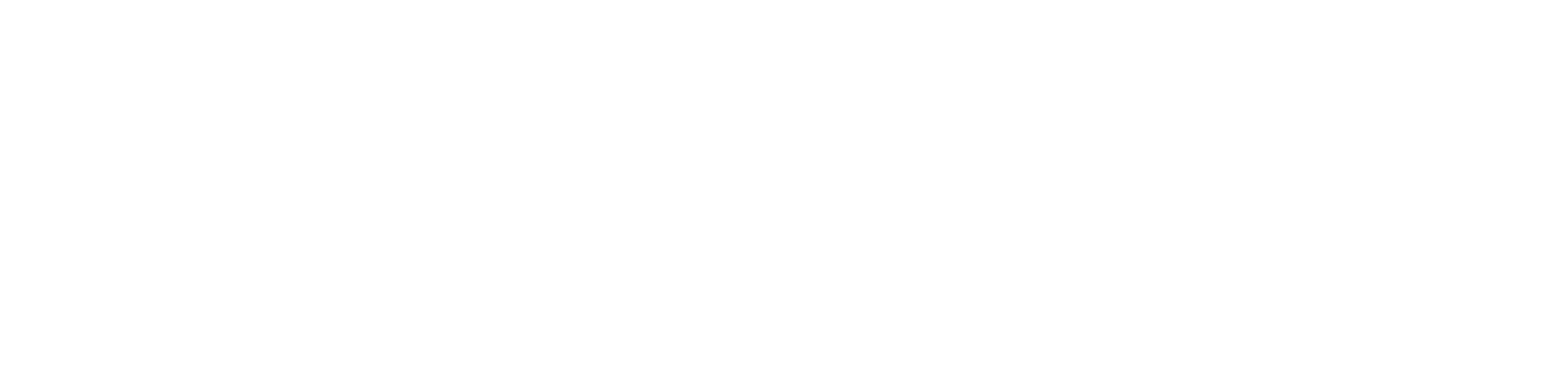 logo partner