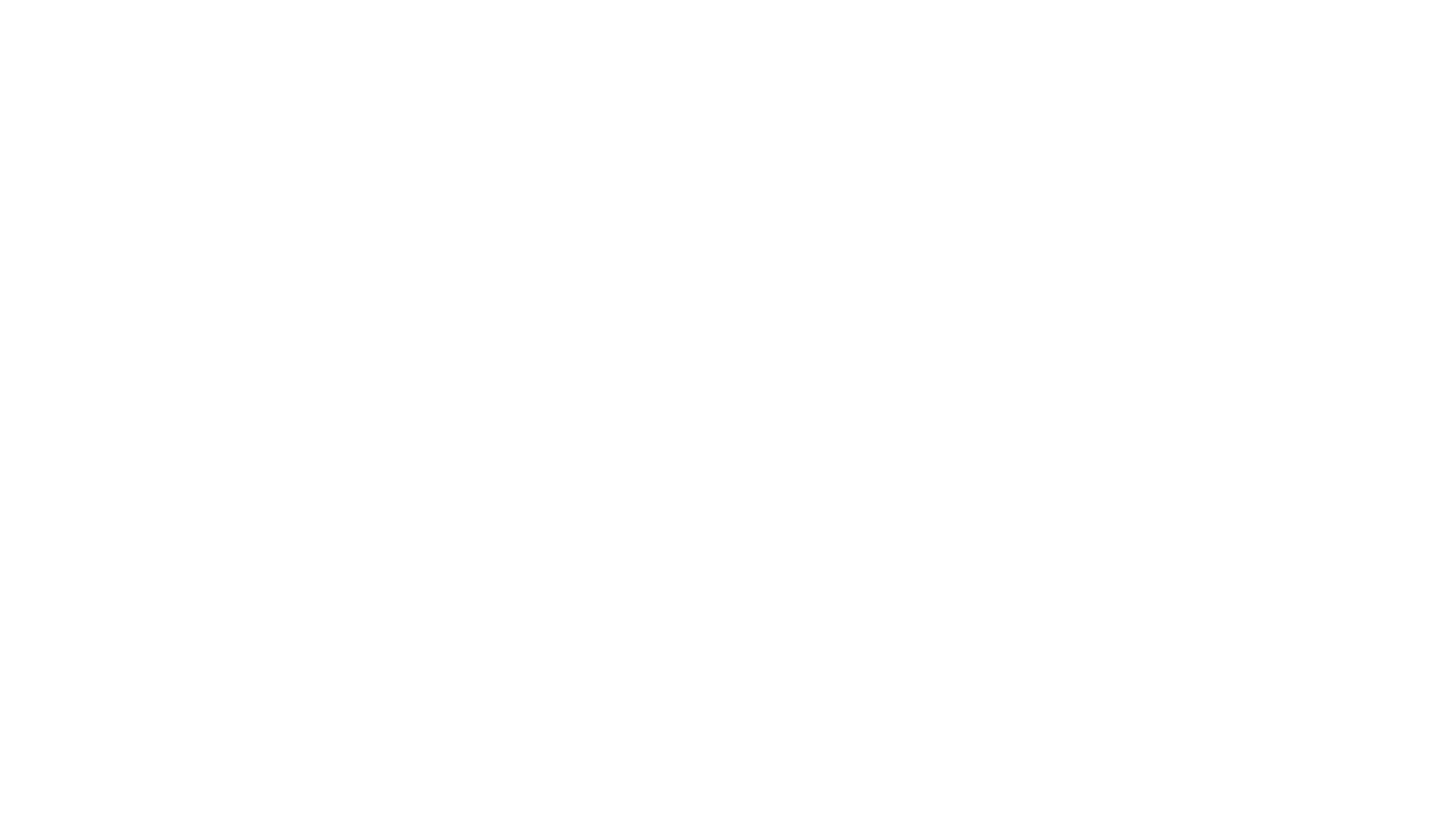 logo partner