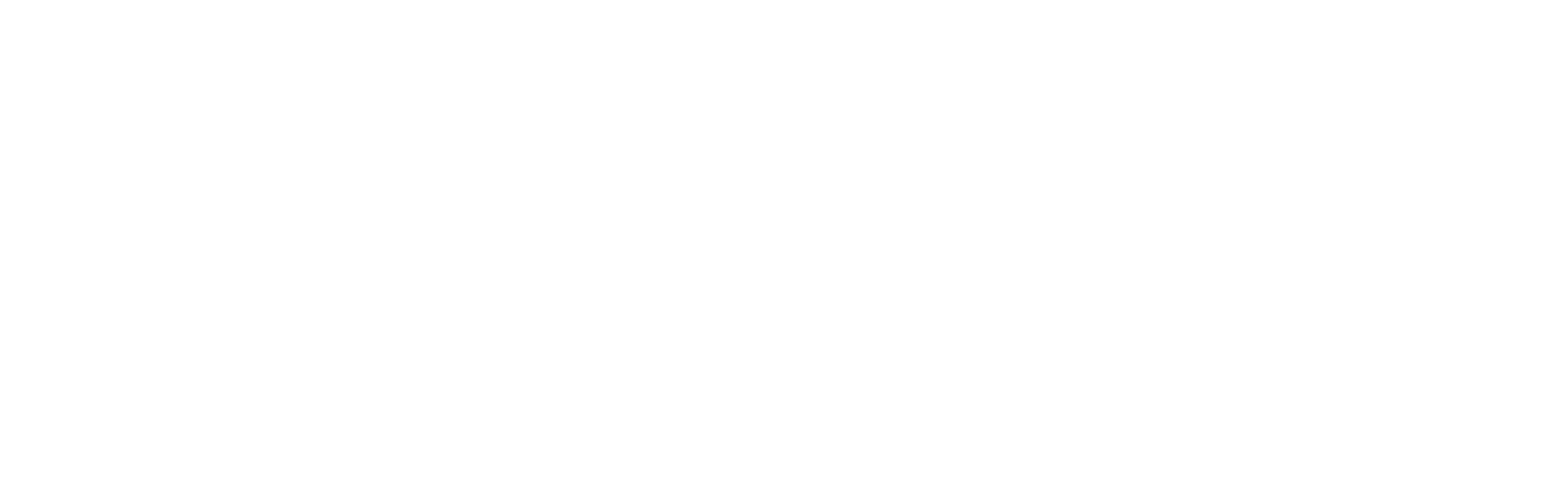 logo partner